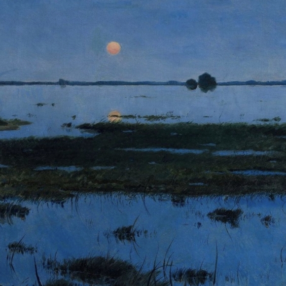 🧡❤️💗🐚Free Seashells🐚💖❤️🧡 - Picture 7 of 16